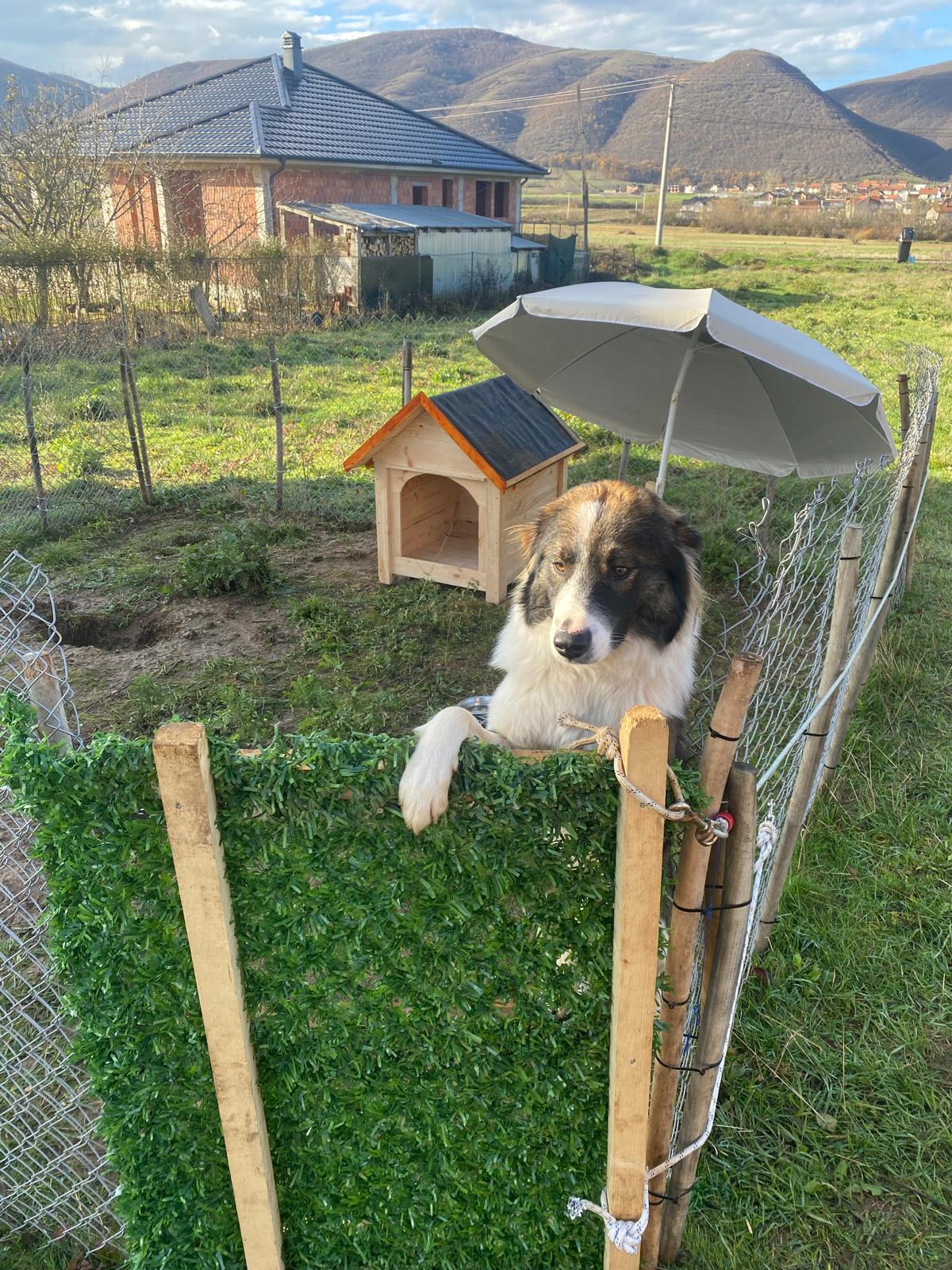 Life in Kosovo - Image 3